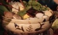 Nouvel An Lunaire pour tous les terriens : Deux fois 10 végétaux parfaits pour la fondue chinoise de la réunion (en chinois) 