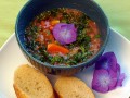 Gazpacho: refrescante sopa de tomate e pepino para o verão (em Francês)