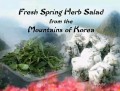 Fresh Spring Herb Salad from the Mountains of Korea (In Korean)