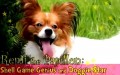 Remi the Papillon: Shell Game Genius and Doggie Star - P1/2 (In Korean)