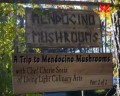 A Trip to Mendocino Mushrooms with Chef Cherie Soria of Living Light Culinary Arts
