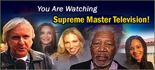 Supreme Master TV AD banner